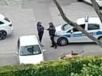 Cinghiale abbattutto in sicurezza e in assenza di persone, ma sui social viaggiano le fake news