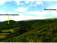 Nasce la riserva naturale Rio Secco e Piana Palomba