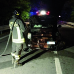 Cinghiali: un autentico pericolo sulla strada