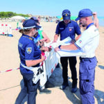 Terzo nido in sei anni: tartarughe Caretta Caretta a Campomarino lido