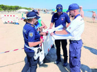Terzo nido in sei anni: tartarughe Caretta Caretta a Campomarino lido