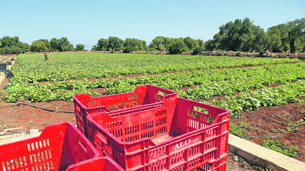 Caldo africano, arriva l’ordinanza sul lavoro