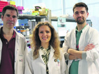 Cervelli in fuga, dal liceo di Agnone ai laboratori del Cnic di Madrid