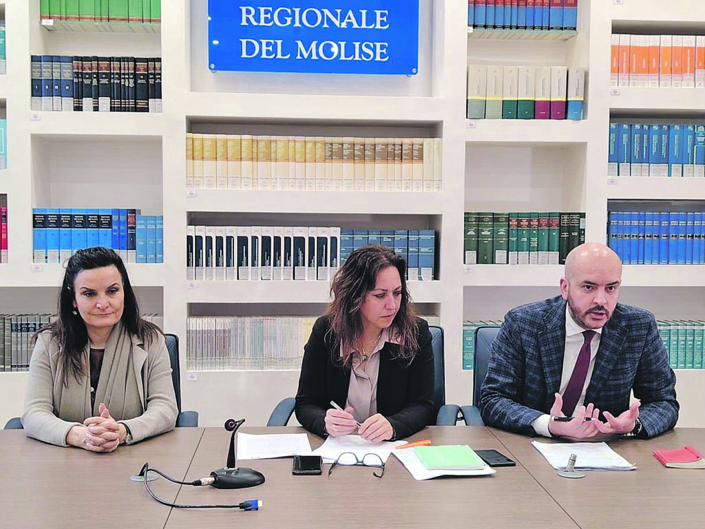 Programma operativo e reti assistenziali, il Pd scende in guerra