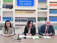 Programma operativo e reti assistenziali, il Pd scende in guerra