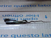 Serpente semina il panico alla farmacia del Veneziale