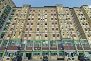 Caricato da un cinghiale durante una battuta di caccia: ferito un 70enne di Trivento