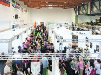 Chiude Casearia, l’80% dei visitatori è di fuori regione