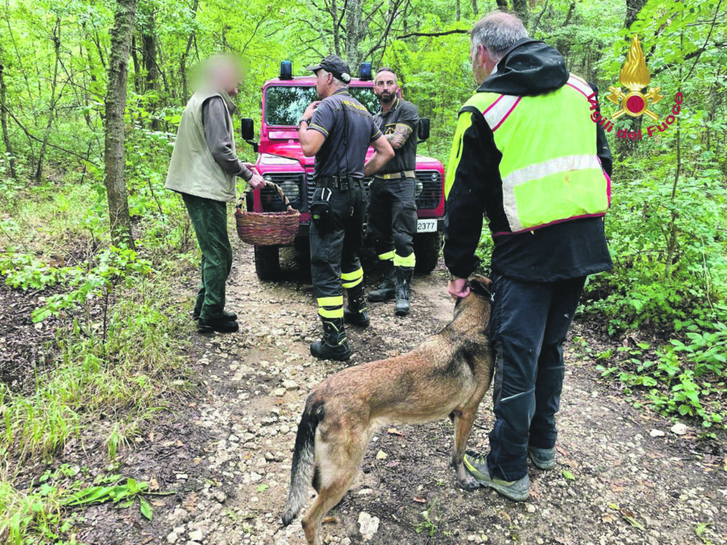 Perde l’orientamento nel bosco, soccorso dai Vigili del fuoco