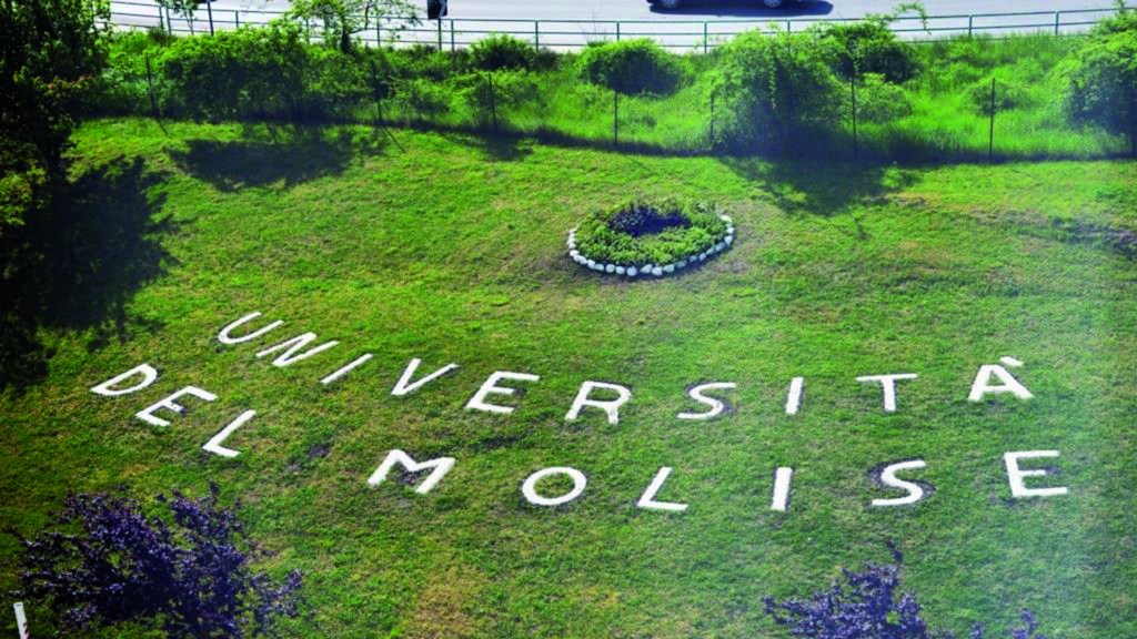 Unimol: «Condanniamo le violenze, la pace passa dal rispetto dei diritti di tutti»