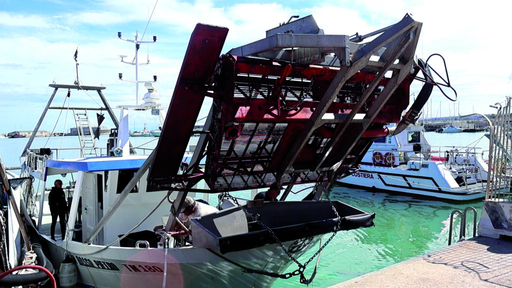 Non ci sono più vongole, il dramma degli armatori