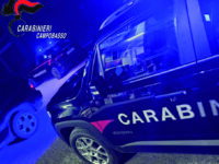 Prima il furto, poi la fuga: un uomo finisce in manette