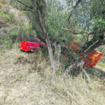 Colpito da un ramo, perde la vita un giovane agricoltore