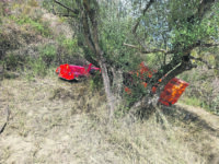 Colpito da un ramo, perde la vita un giovane agricoltore