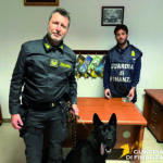 Termoli, a spasso con l’hashish in stazione: il cane Jimmy rintraccia un pusher