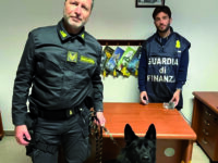 Termoli, a spasso con l’hashish in stazione: il cane Jimmy rintraccia un pusher