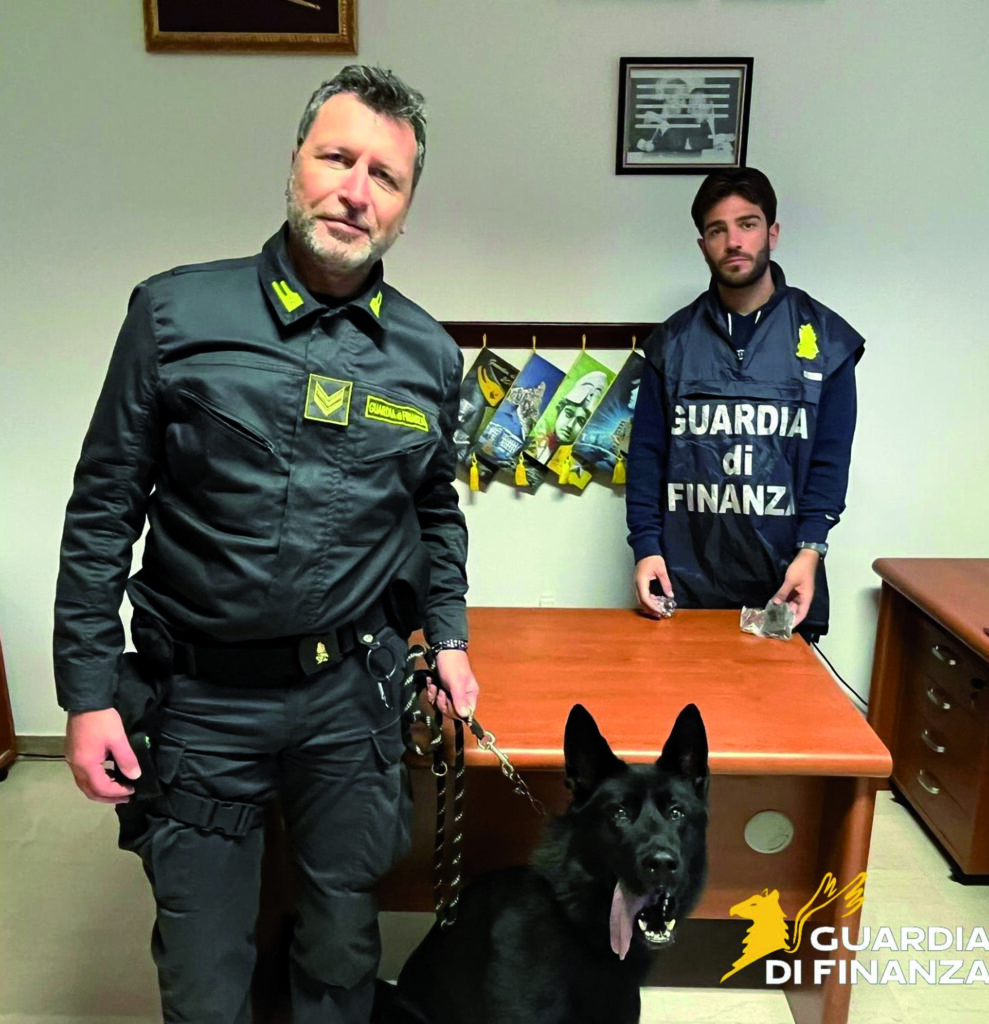 Termoli, a spasso con l’hashish in stazione: il cane Jimmy rintraccia un pusher