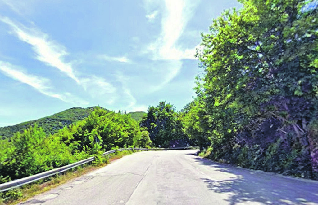 Circondati da un branco di cani, attimi di terrore per due cercatori di castagne