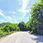 Circondati da un branco di cani, attimi di terrore per due cercatori di castagne