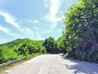 Circondati da un branco di cani, attimi di terrore per due cercatori di castagne