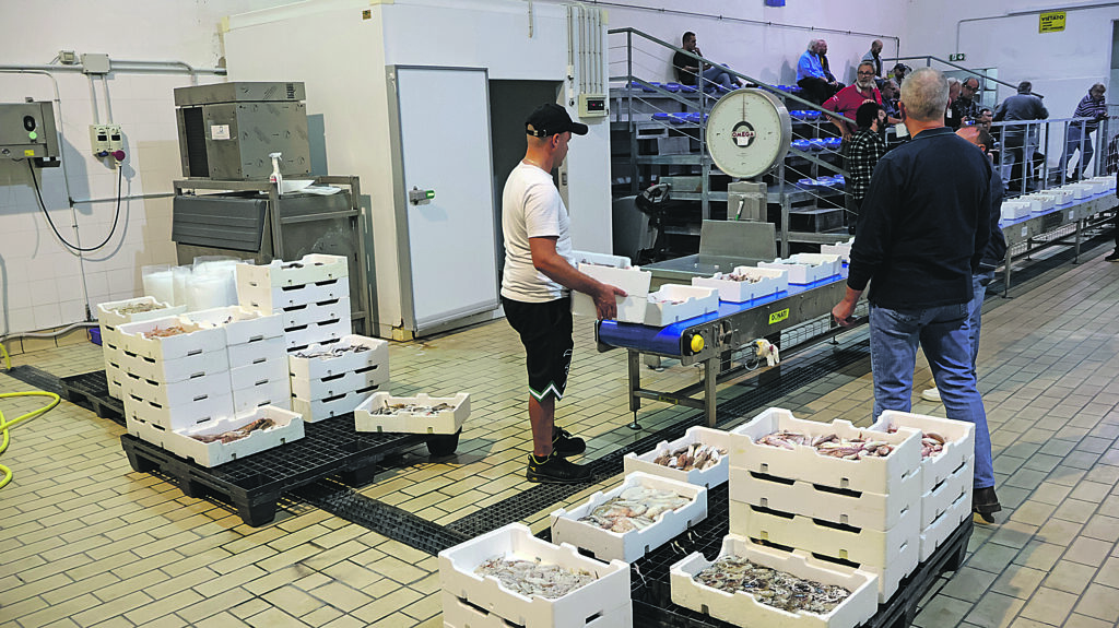 Primo sbarco tra entusiasmo e speranze