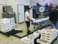 Primo sbarco tra entusiasmo e speranze