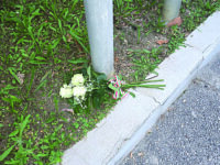 Tre fiori bianchi per tre vite spezzate