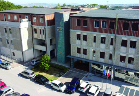 Ospedali senza medici, Unimol perno del piano di formazione e reclutamento