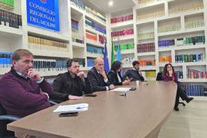 Vertenza 3g, il Consiglio regionale si mobilita