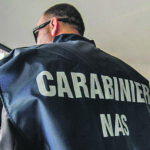 WCENTER 0WNJBDRJAK -  09131738 FOTO WEBSERVER - imggiugliarelli130913173728 - CARABINIERI NAS PERUGIA  -     -  Marco Giugliarelli