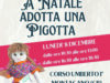 Adotta una Pigotta, inclusione e solidarietà per il Natale