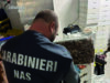 Nas in azione, chiuse 10 attività e sequestrati 17 quintali di alimenti