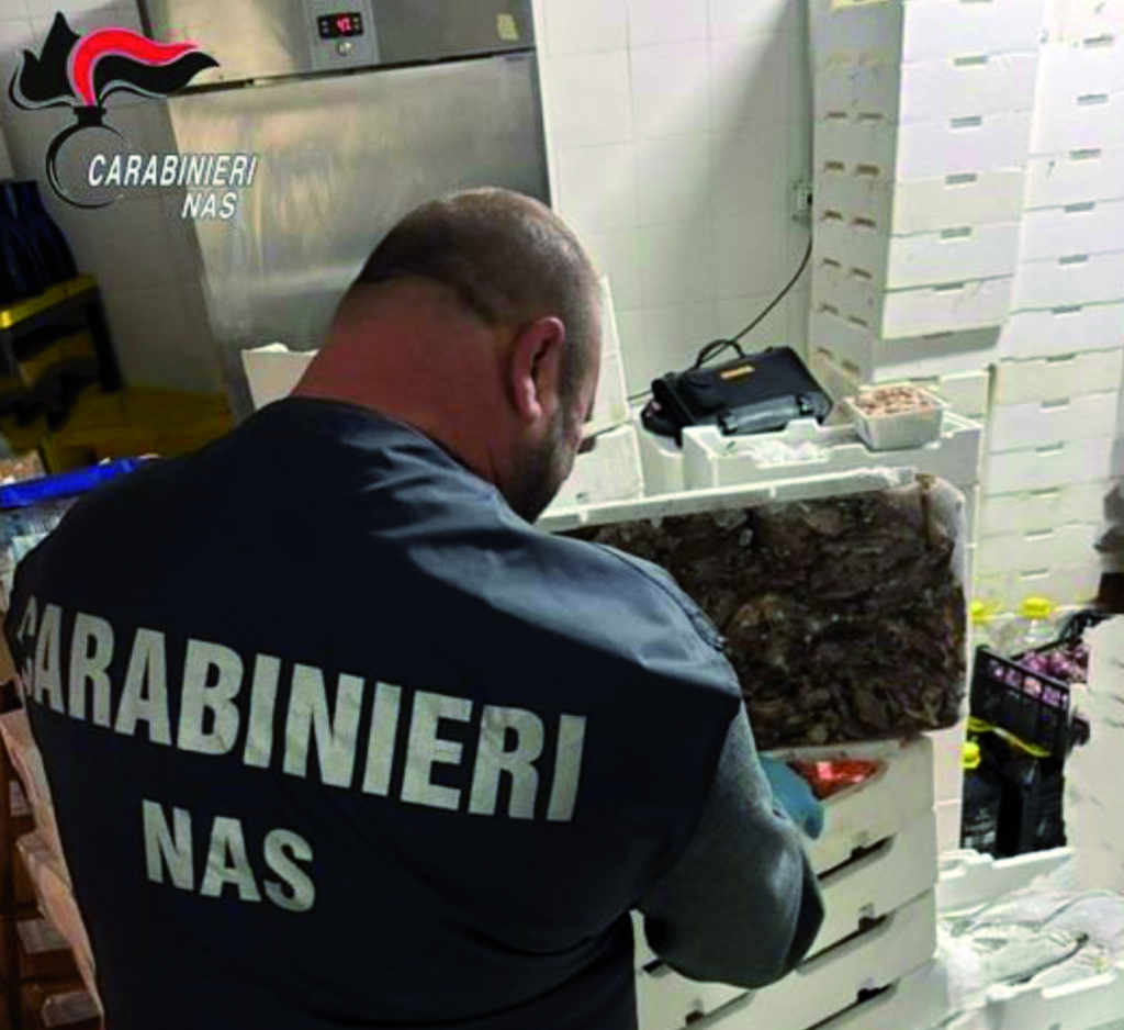 Nas in azione, chiuse 10 attività e sequestrati 17 quintali di alimenti