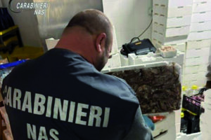 Nas in azione, chiuse 10 attività e sequestrati 17 quintali di alimenti