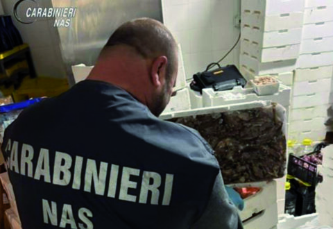 Nas in azione, chiuse 10 attività e sequestrati 17 quintali di alimenti