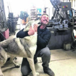 La storia di Wolf, morto cercando di scappare: «Ha avuto paura dei botti»