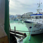 Deroga alla pesca nei giorni di Natale, insorgono le associazioni di categoria