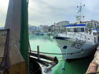 Deroga alla pesca nei giorni di Natale, insorgono le associazioni di categoria