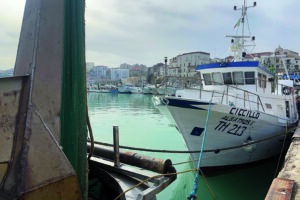 Deroga alla pesca nei giorni di Natale, insorgono le associazioni di categoria