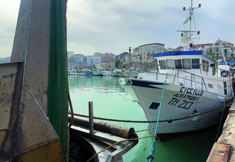 Deroga alla pesca nei giorni di Natale, insorgono le associazioni di categoria