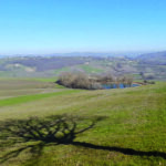 Centrale a biometano a Riccia, il caso torna al centro del dibattito