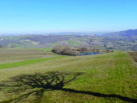 Centrale a biometano a Riccia, il caso torna al centro del dibattito