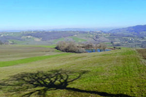 Centrale a biometano a Riccia, il caso torna al centro del dibattito