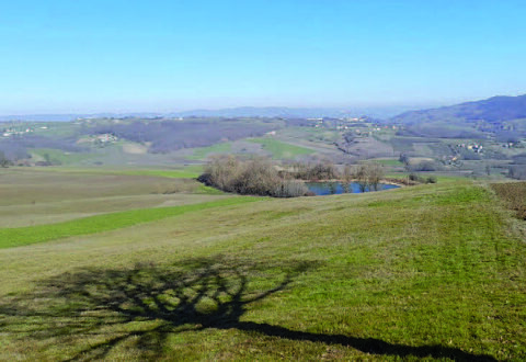 Centrale a biometano a Riccia, il caso torna al centro del dibattito