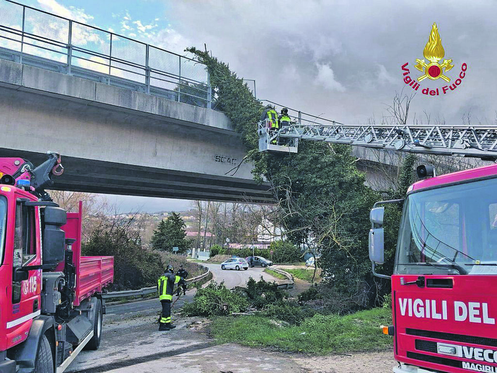 Vento forte piega la provincia, oggi allerta gialla