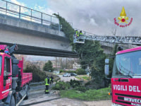 Vento forte piega la provincia, oggi allerta gialla