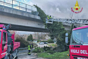 Vento forte piega la provincia, oggi allerta gialla