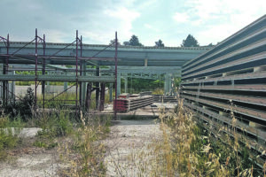 “Quando Pinocchio frequentava la scuola di Mascione… ”