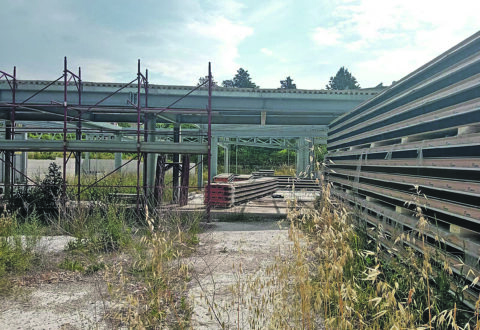 “Quando Pinocchio frequentava la scuola di Mascione… ”