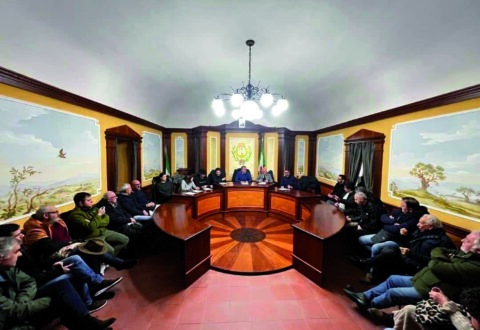 Decreto sicurezza, Frosolone difende il suo artigianato